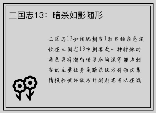 三国志13：暗杀如影随形