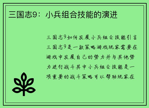 三国志9：小兵组合技能的演进