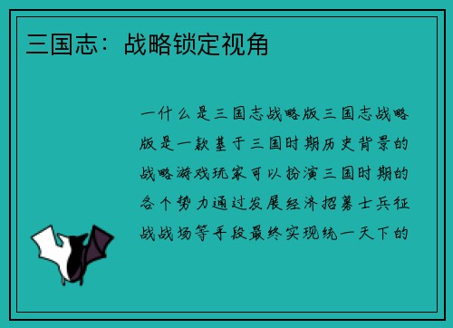 三国志：战略锁定视角